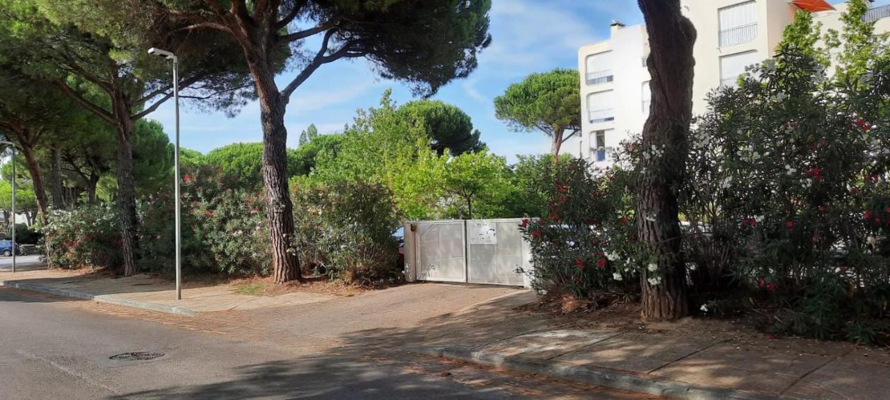 T 2 Mottland 300 M La Grande-Motte